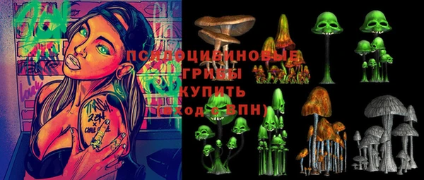apvp Богородск