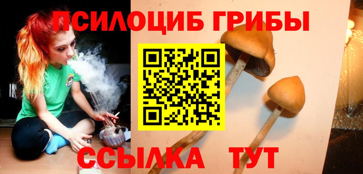 Бугульма  наркошоп  Вход с VPN  Псилоцибиновые грибы GOLDEN TEACHER 